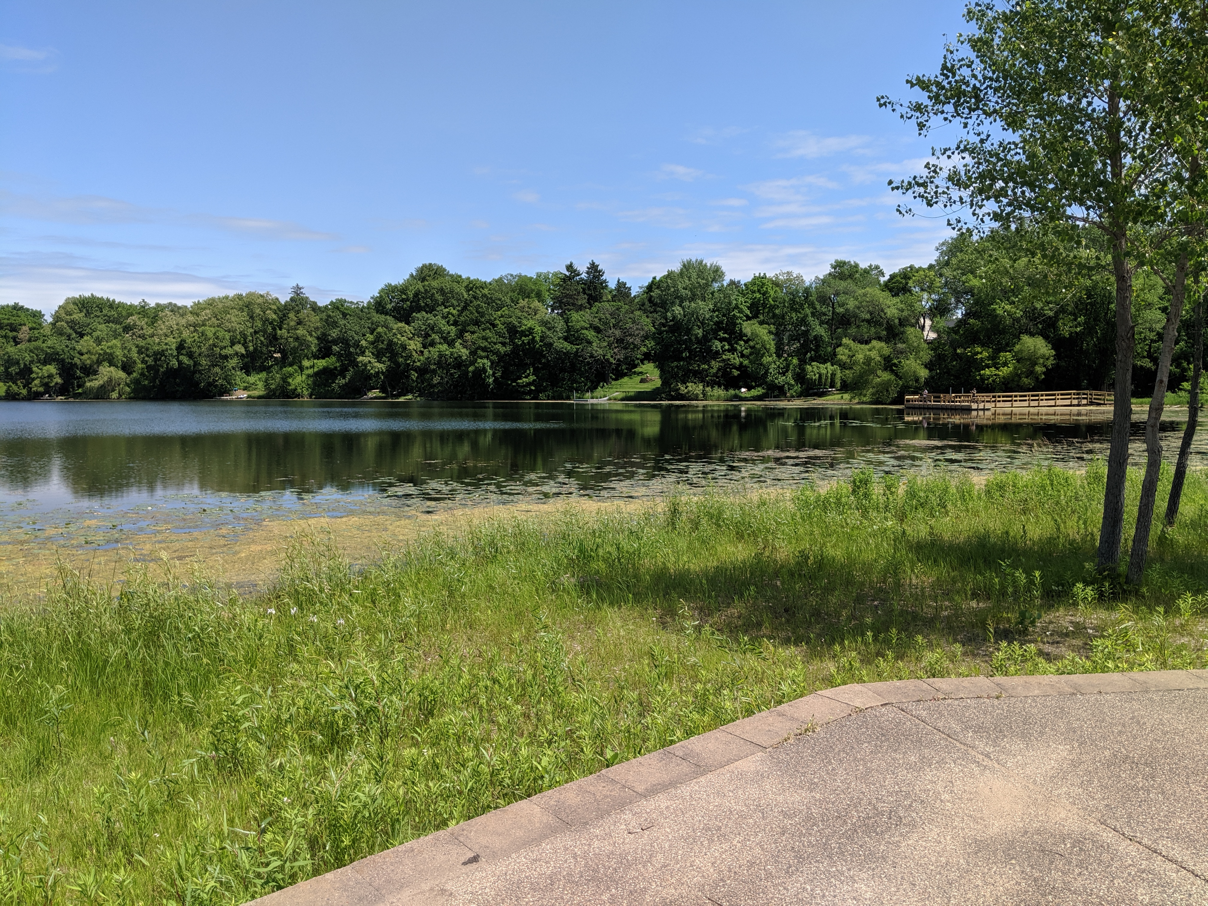 Ely_Lake_Park.jpg